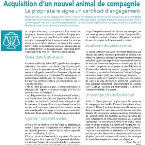 article lesgilation animal